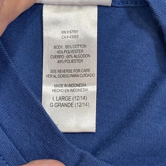 NFL TEAM APPAREL NY Giants T-Shirt Unisex Kids Large (12-14) Blue Short Sleeves - Picture 5 of 8